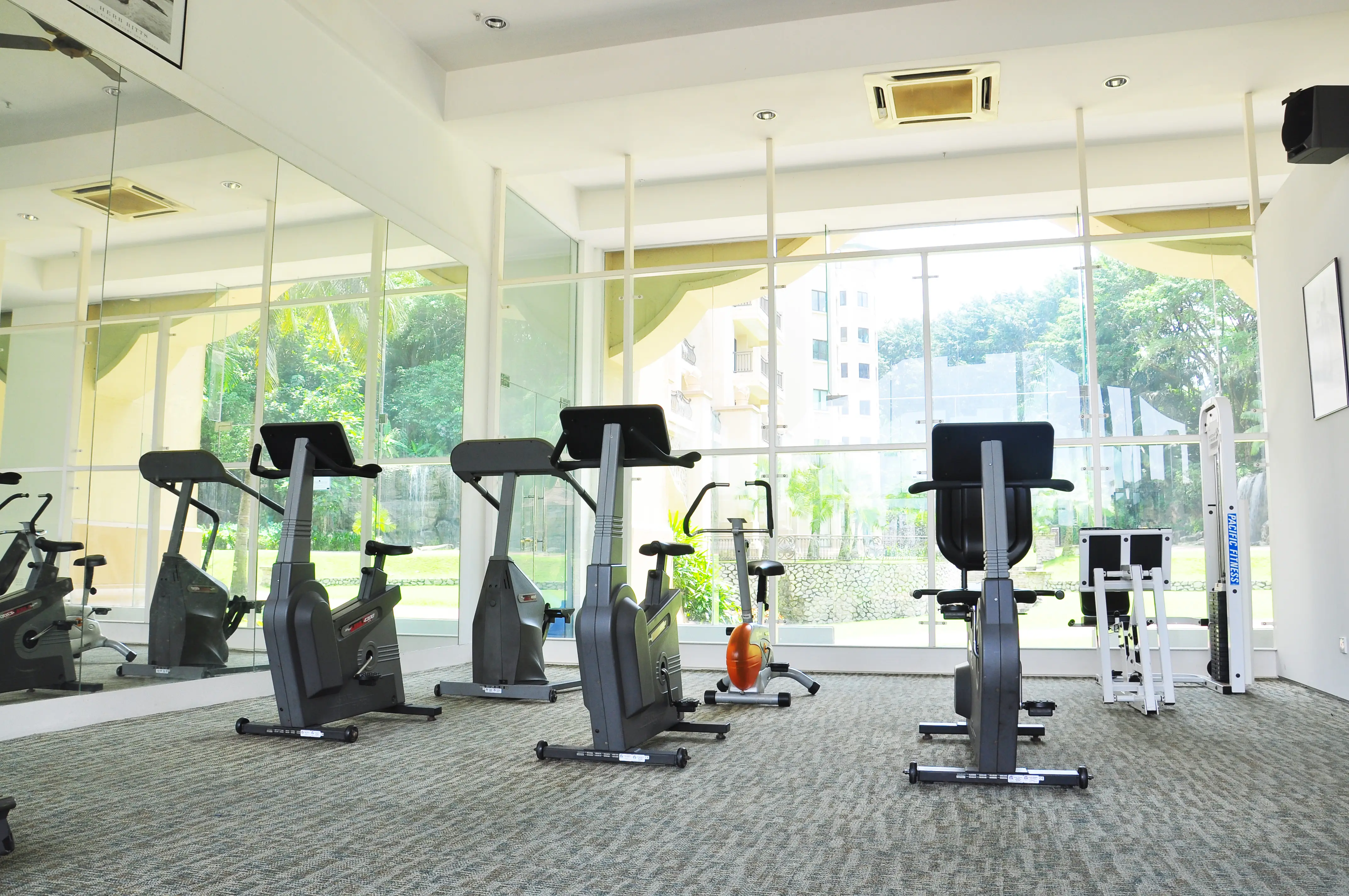 Gymnasium